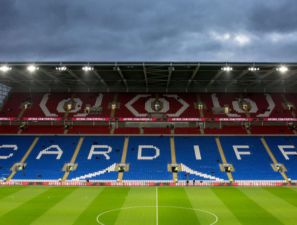 Stadium Pitch View 800X800