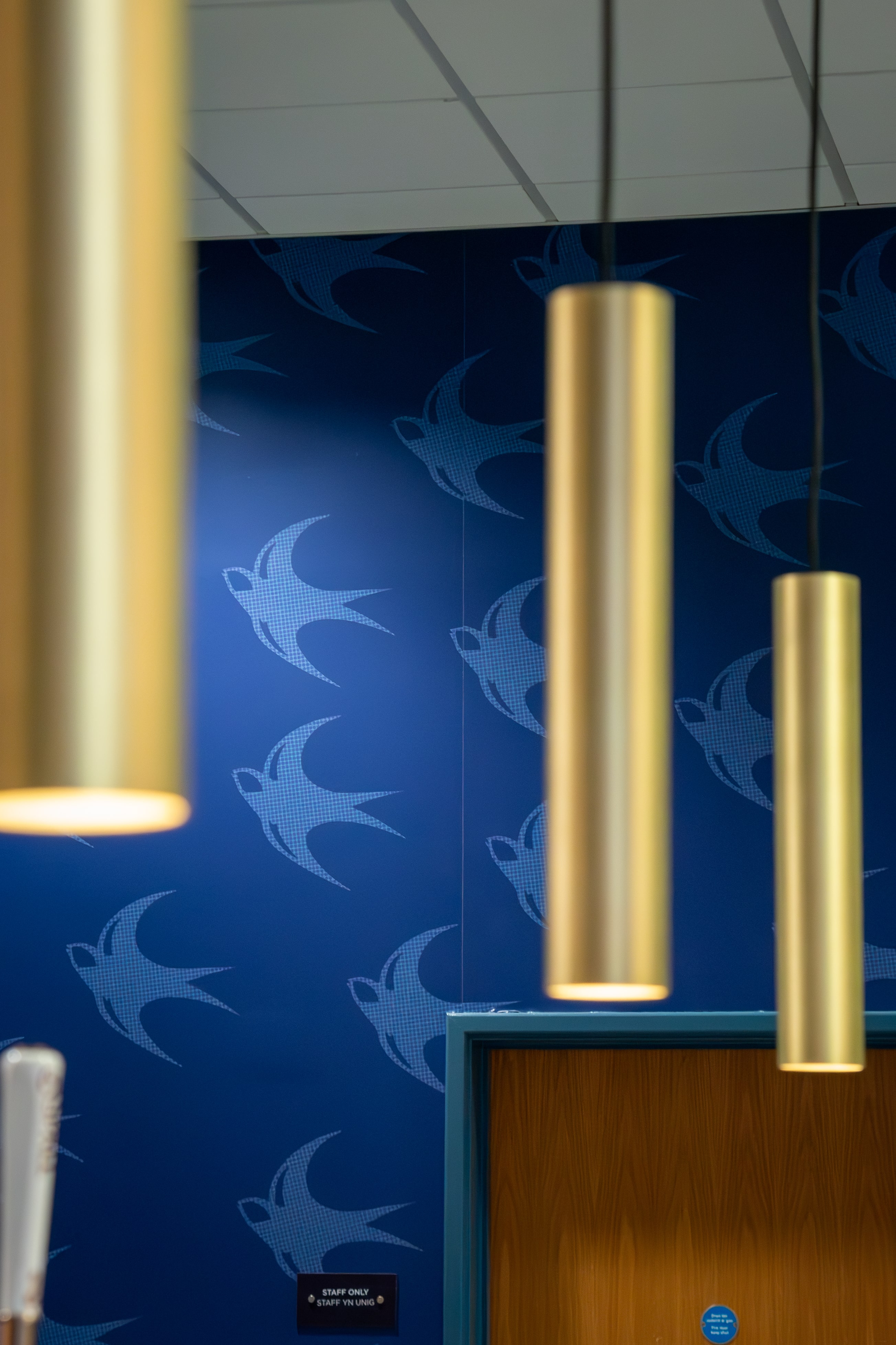 DSC 2150 Enhanced NR Min